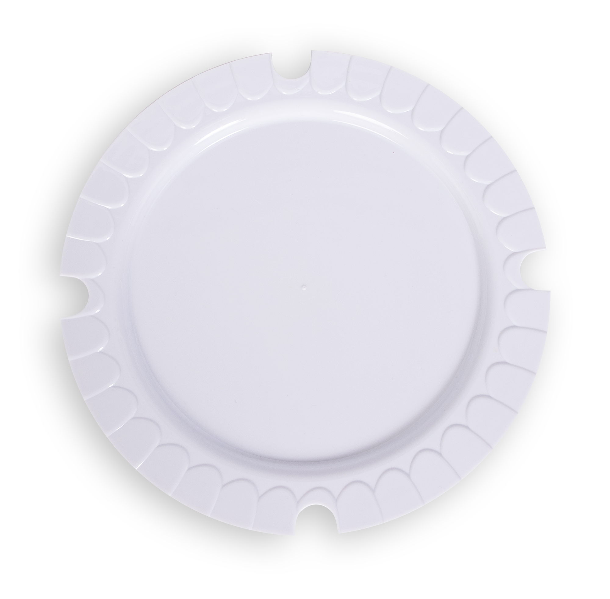 6 Inch Round Plate Insert